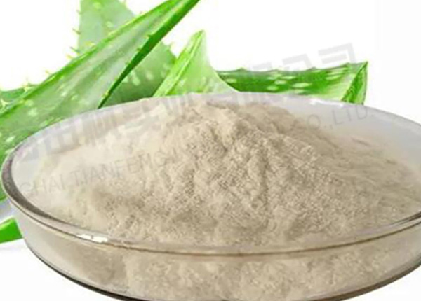 蘆薈凍干，凍干粉真空冷凍干燥機(jī)應(yīng)用于蘆薈凍干