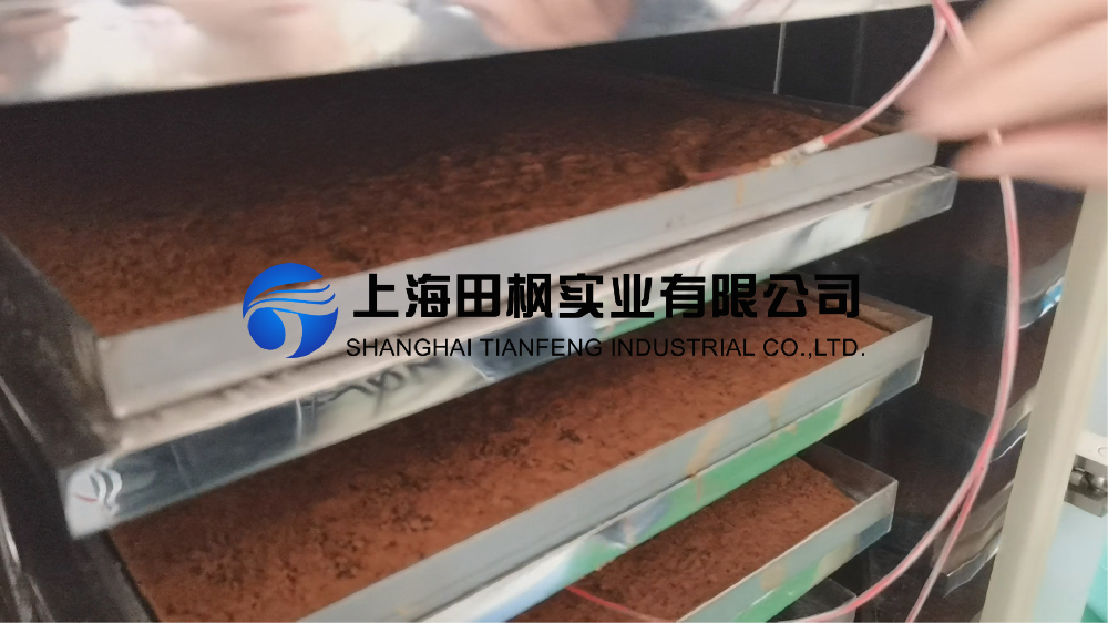 酵素(1).png